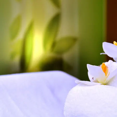 Western Palatin Kongresshotel 4*