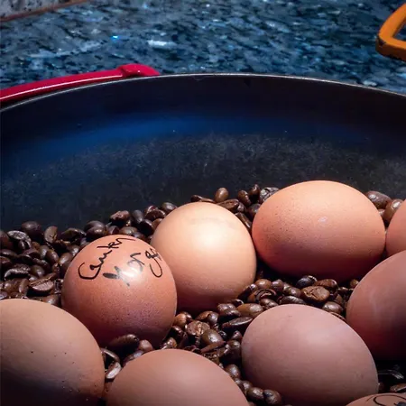 Western Palatin Kongresshotel Hotel Wiesloch