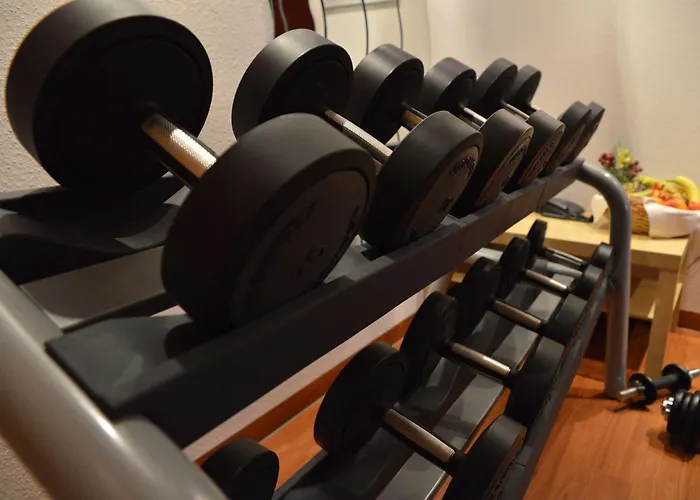 فندق Western Palatin Kongresshotel