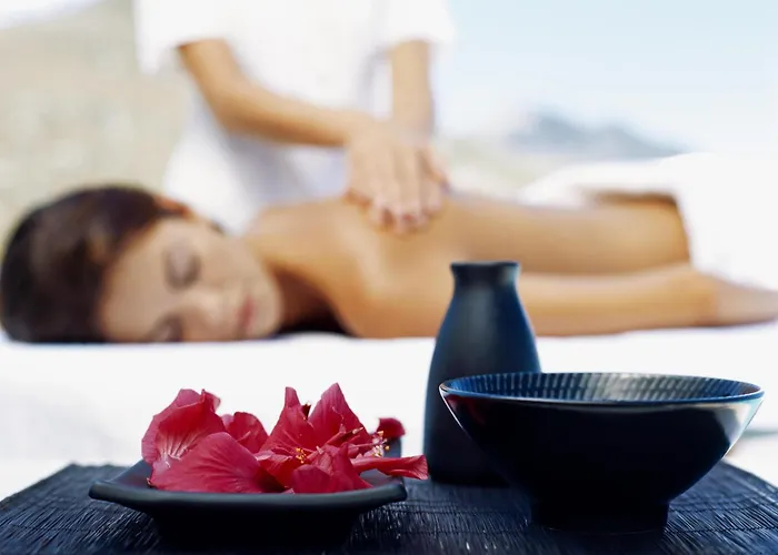 فندق Western Palatin Kongresshotel 4*