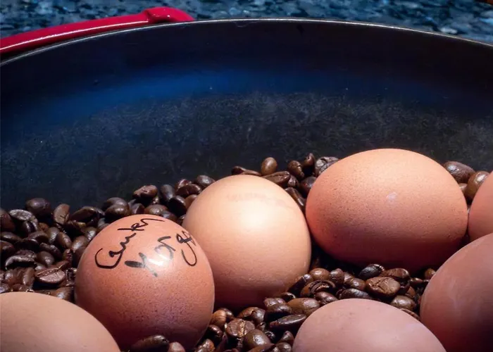 Western Palatin Kongresshotel فندق فيسلوخ