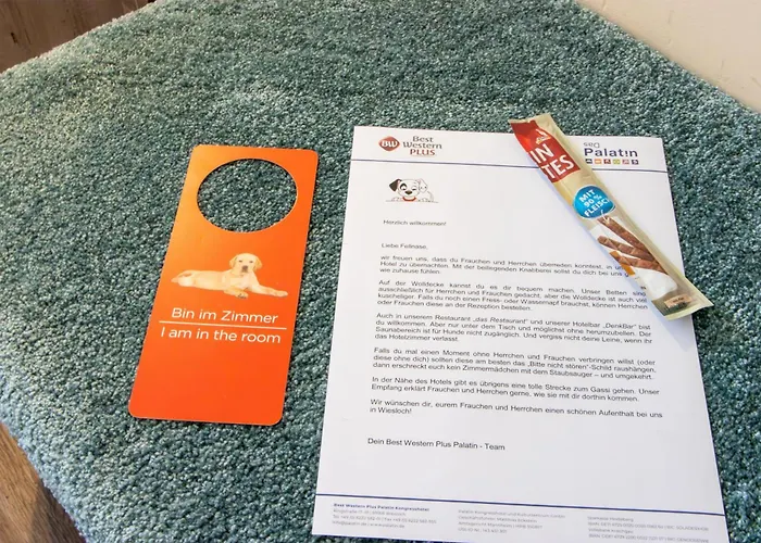 Western Palatin Kongresshotel 4*