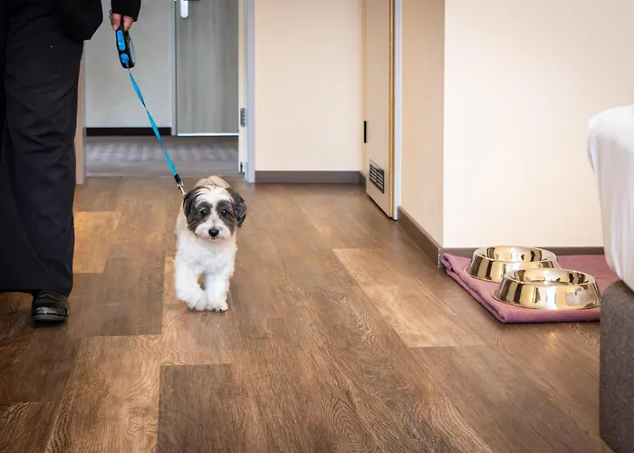 Western Palatin Kongresshotel