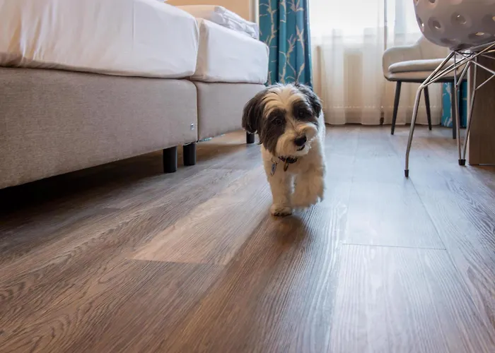 Western Palatin Kongresshotel فندق 4*